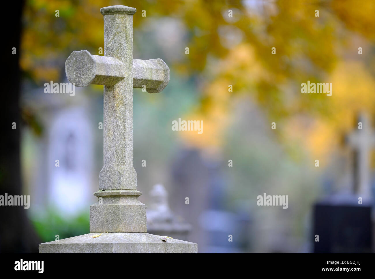 Tombstone with light-colored stone cross in front of colorful autumn leaves, Munich, Bavaria, Germany, Europe Stock Photo