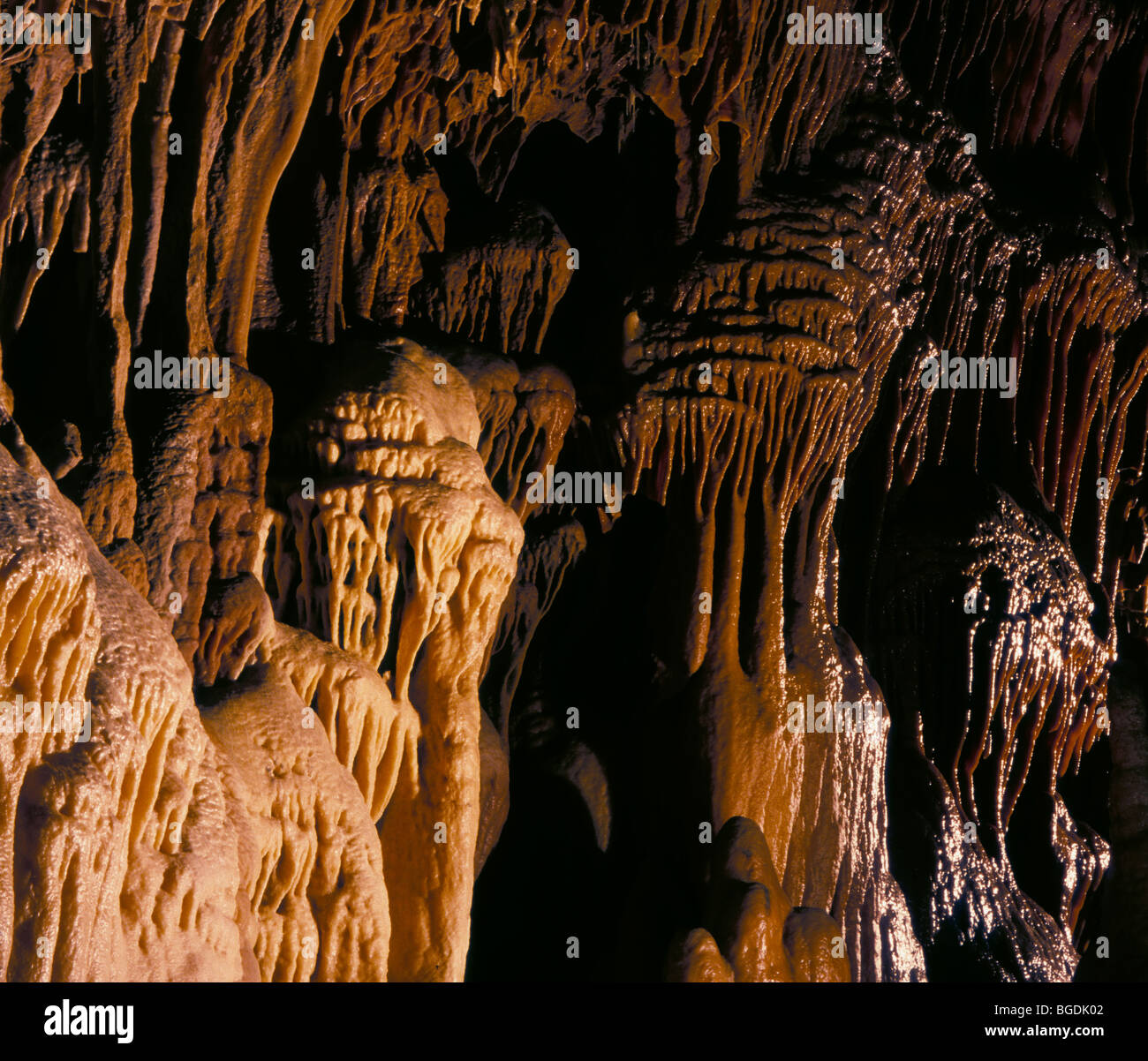 Flowstone wall in Dargilan - la Grotte Rose or 'the Pink Cave', Cevennes, France. Stock Photo
