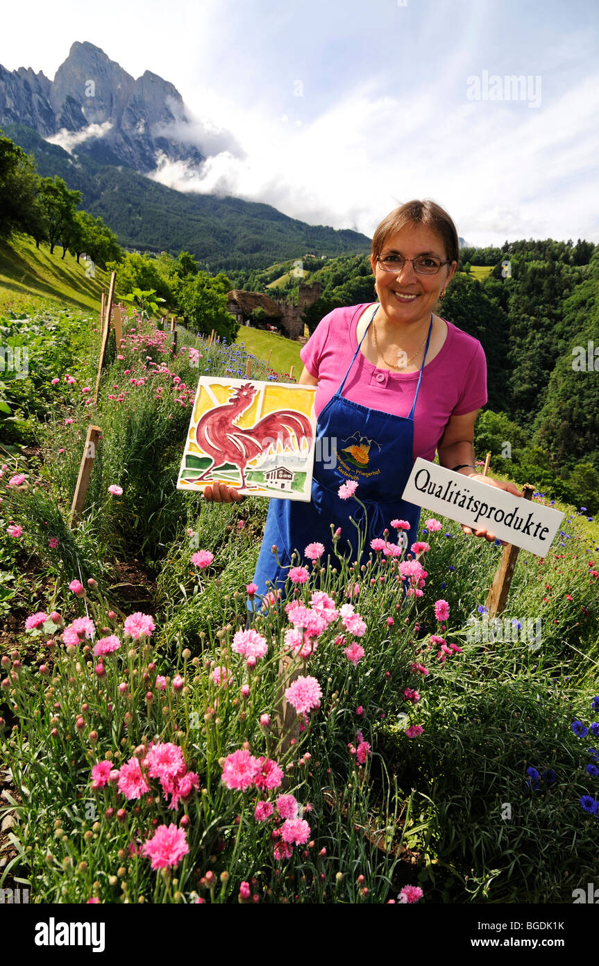 Ms. Mulser, South Tyrolean of the year, herb farm, Pflegerhof farm, Castelrotto, South Tyrol, Italy, Europe Stock Photo