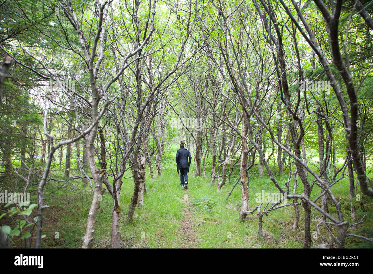 Person in the forest hi-res stock photography and images - Alamy