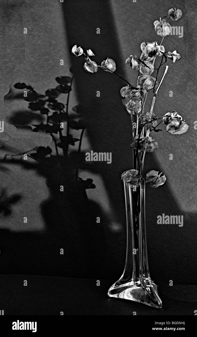 Shaped vase chinese gooseberries hires stock photography and images