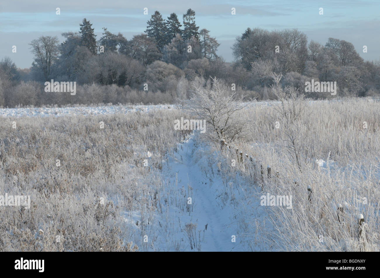 Perth Snow Snow covers the land around Perth in Scotland Stock Photo - Alamy