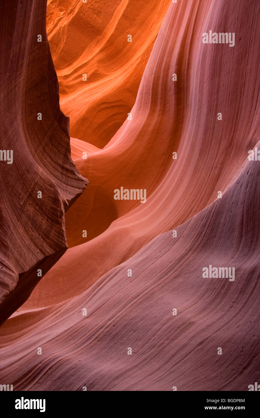 Navajo sandstone inside Lower Antelope Canyon, Ari…