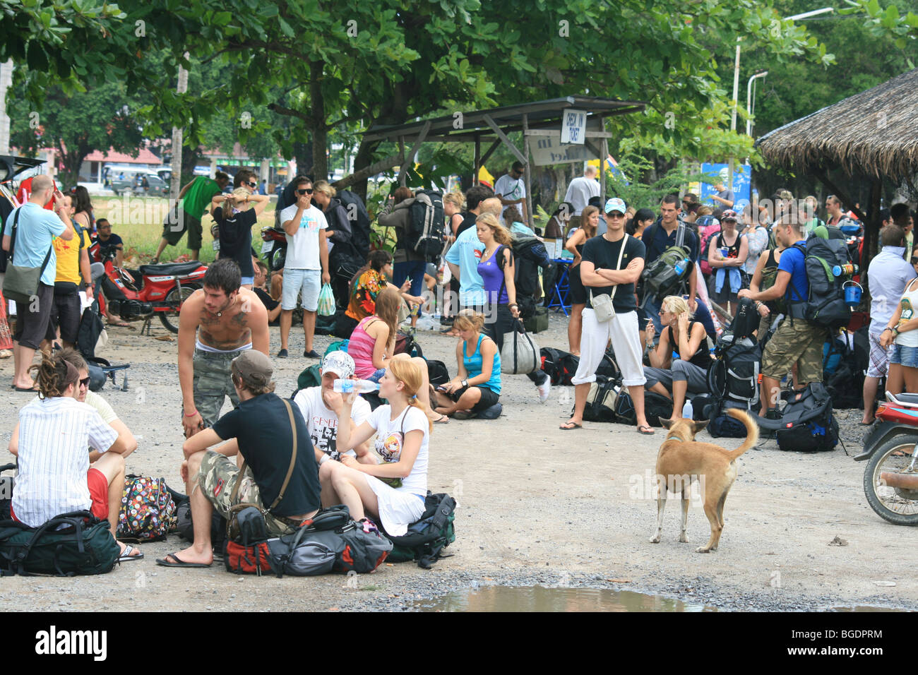 Backpackers waiting for a boat in Tong Sala, Koh Phangan, Thailand. Stock Photo