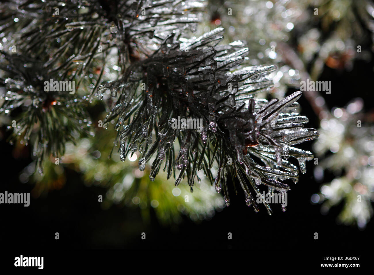Freezing rain night hi-res stock photography and images - Alamy