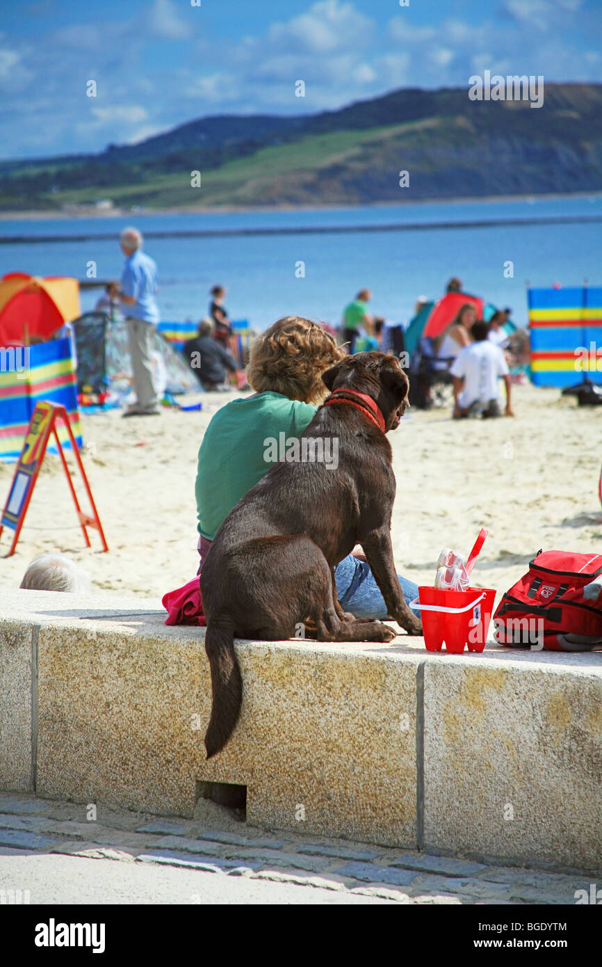Dog and owner sitting on the sea wall at Lyme Regis beach, Dorset