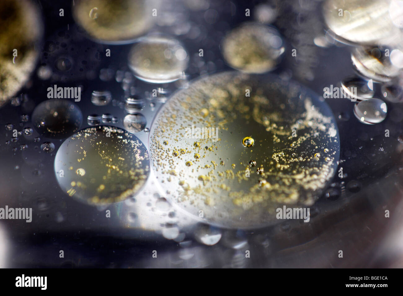 blisters in a fluid, emulsion. Stock Photo