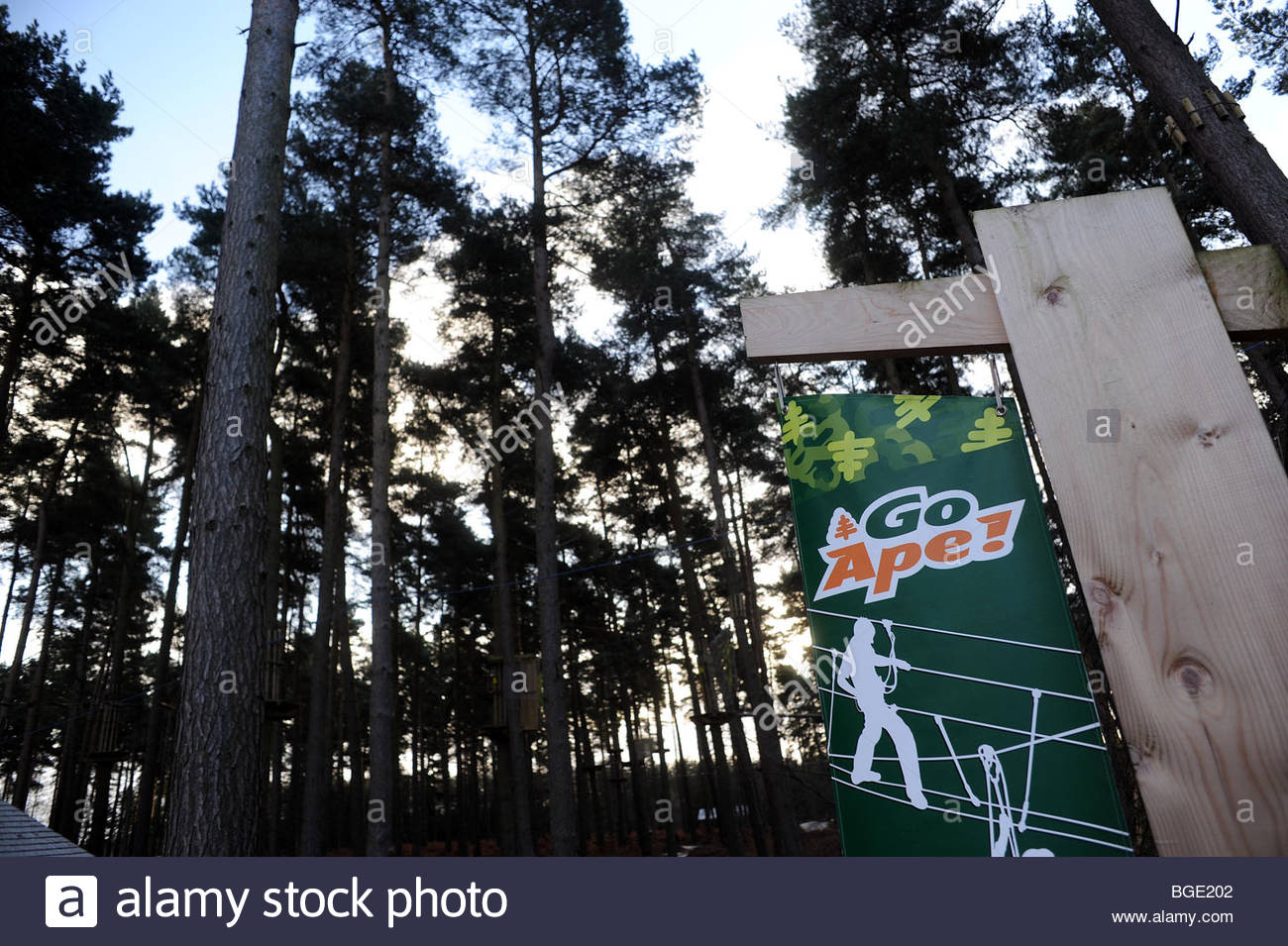 Go Ape Cannock Chase Staffordshire Stock Photo Alamy Go Ape Cannock Chase Staffordshire Stock Photo Alamy