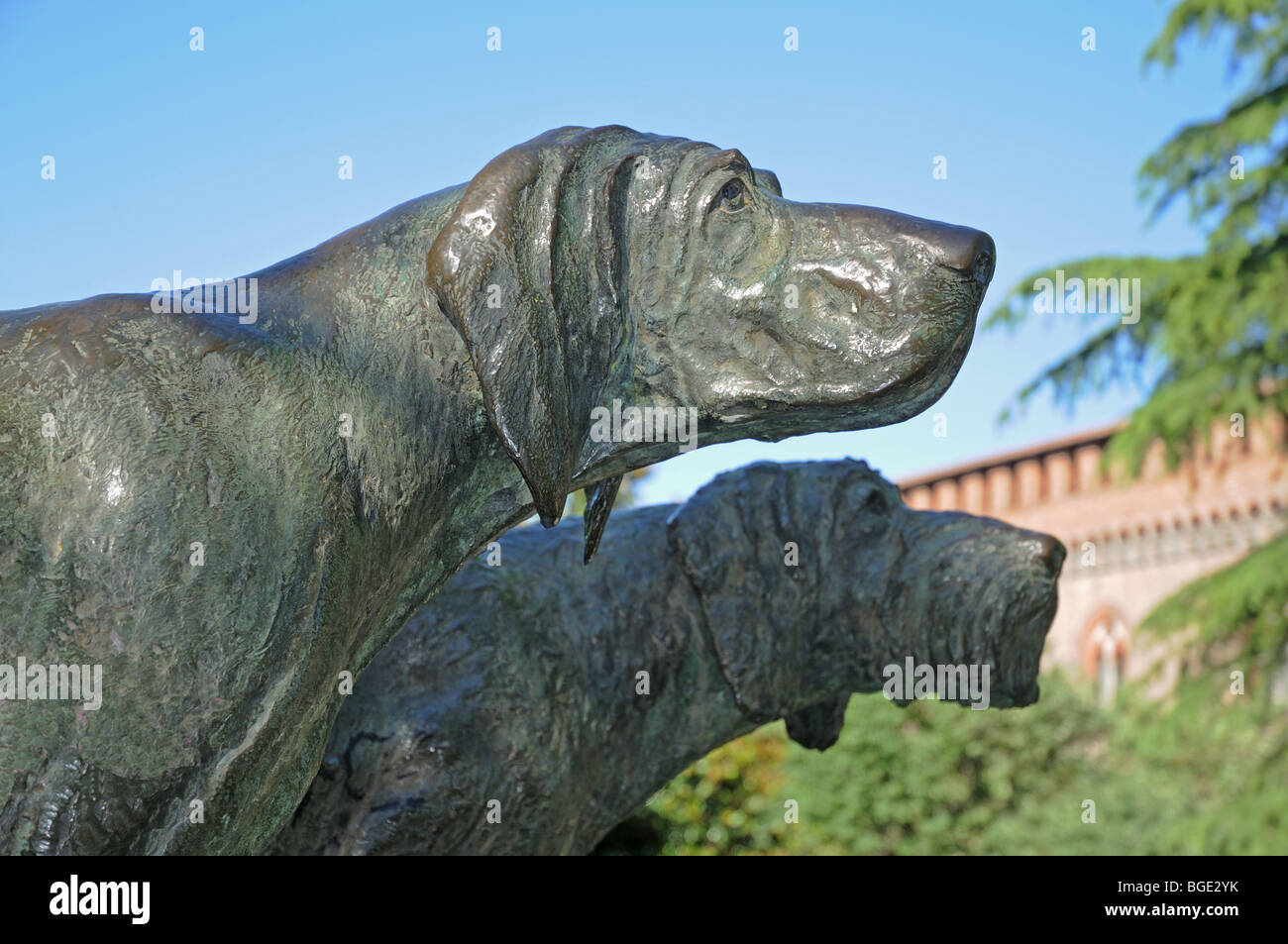 Bronze statue sculpture street art work of two hunting dogs in park of Visconti Castle Pavia Lombardy Italy Stock Photo