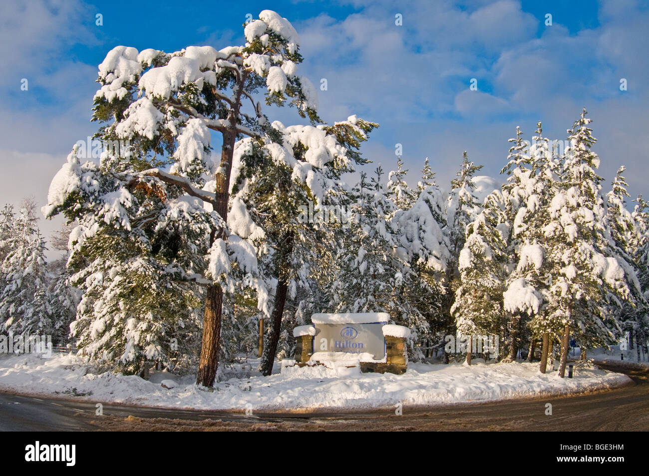 Heavy winter snow fall on the Glenmore road at Colyumbridge Aviemore