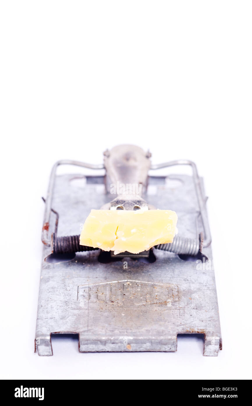 A mouse trap baited with cheese on a white background Stock Photo