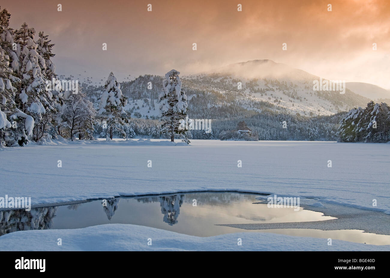 Heavy Winter snowfall at Loch an Eilean in the Cairngorms National Park Aviemore  SCO 5747 Stock Photo