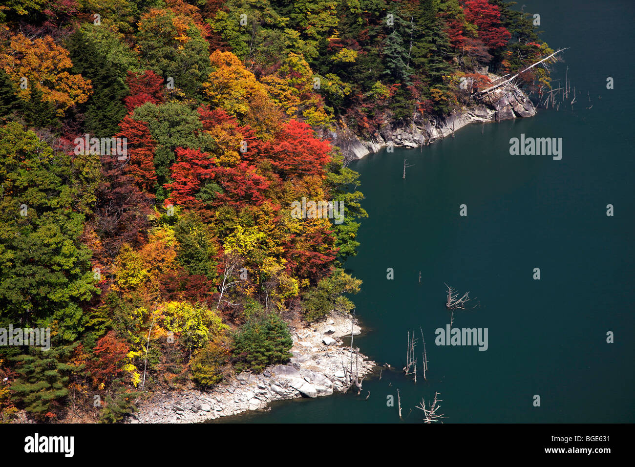 Autumn colours near Kamikochi, Nagano-ken, Japan Stock Photo