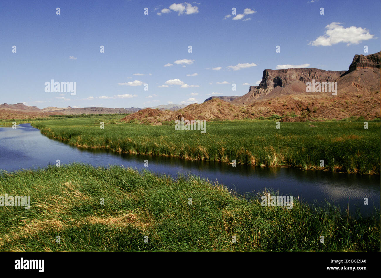 Colorado river running through a valley in Arizona, USA Stock Photo
