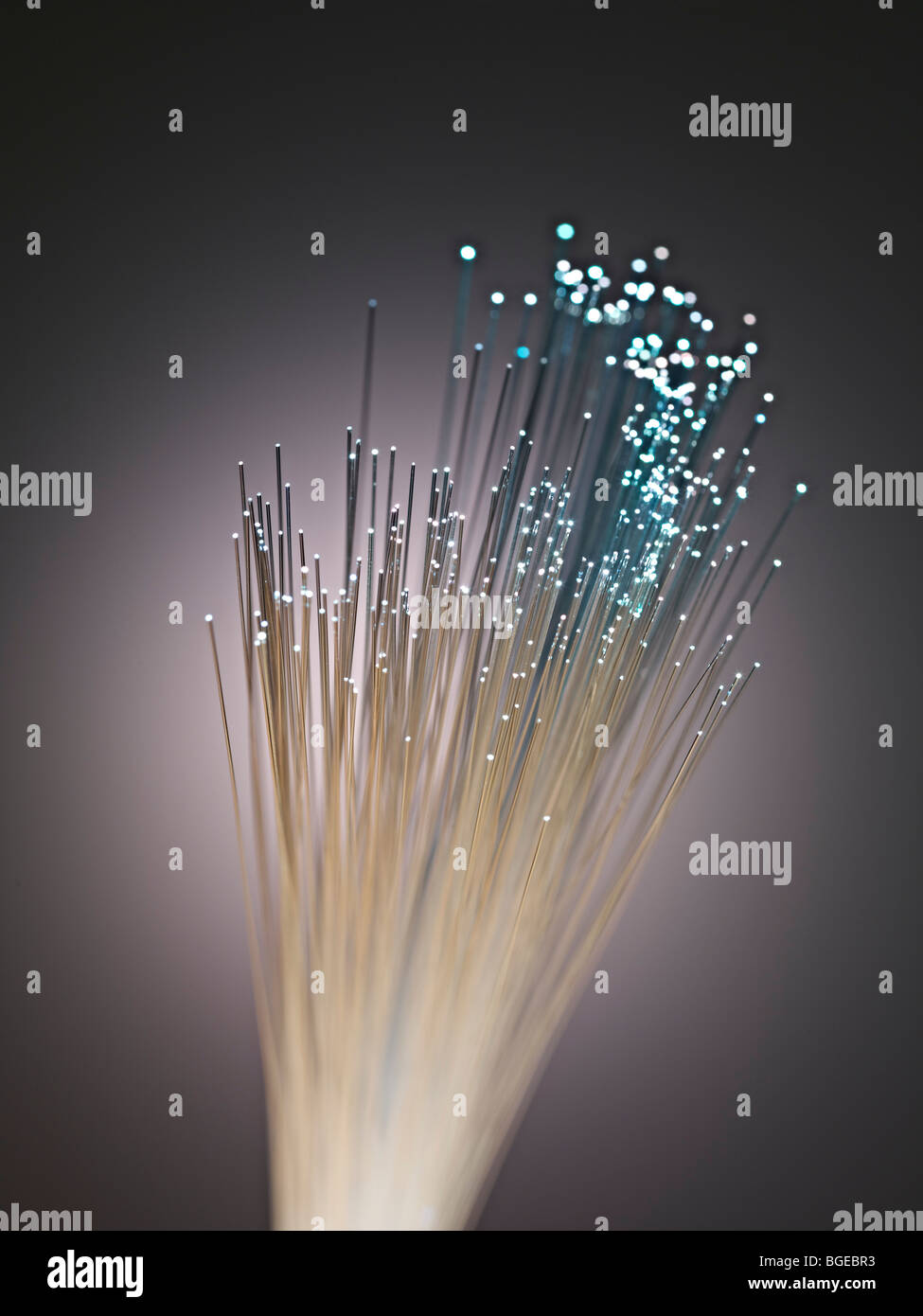 Fiber optic bundle with Stock Photo Alamy