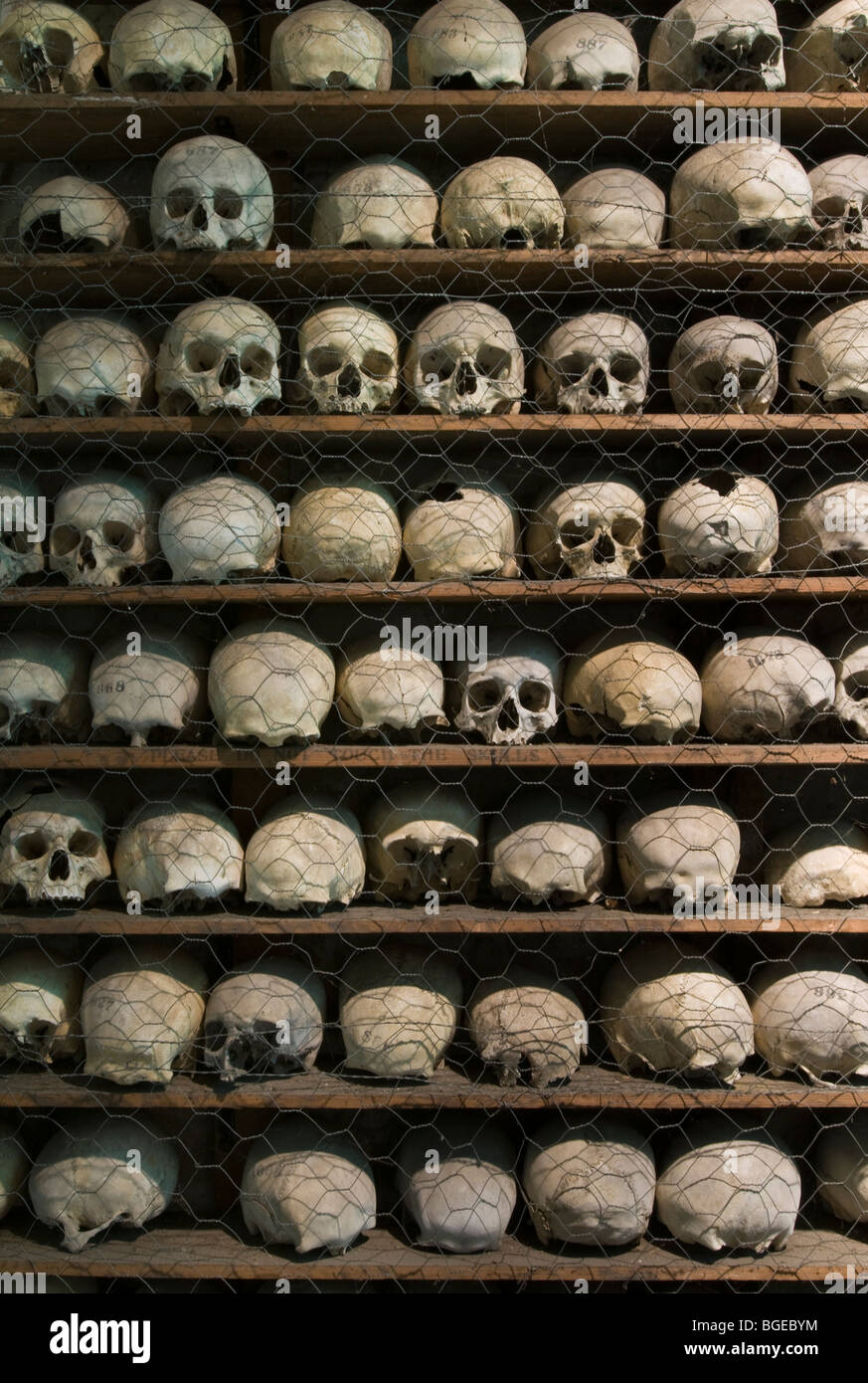 Medieval human skulls shelved in the ossuary of St Leonards church, Hythe, Kent, England Stock Photo