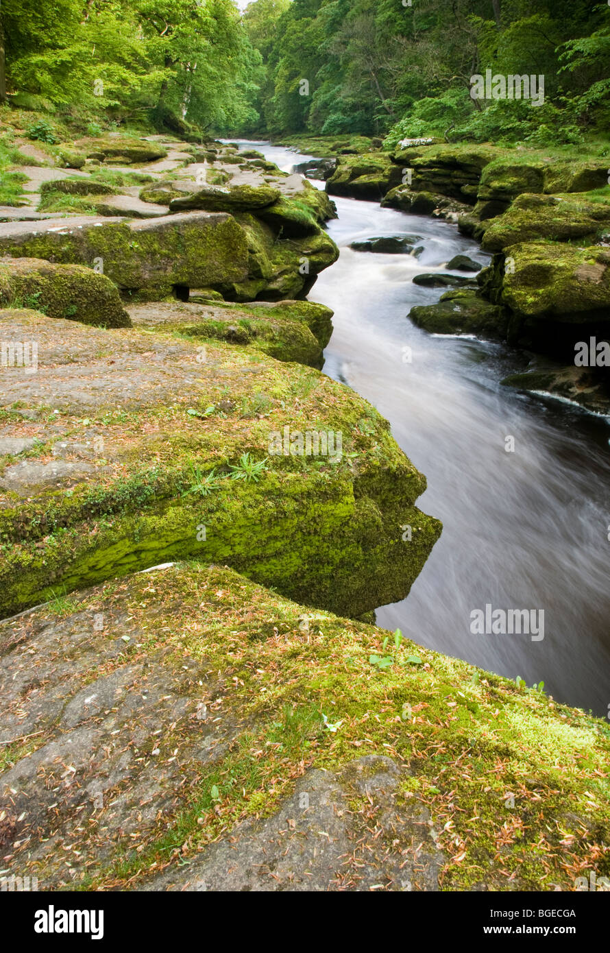 Rocks at The Strid on the River Wharfe along the Dales Way Long Distance Path Stock Photo
