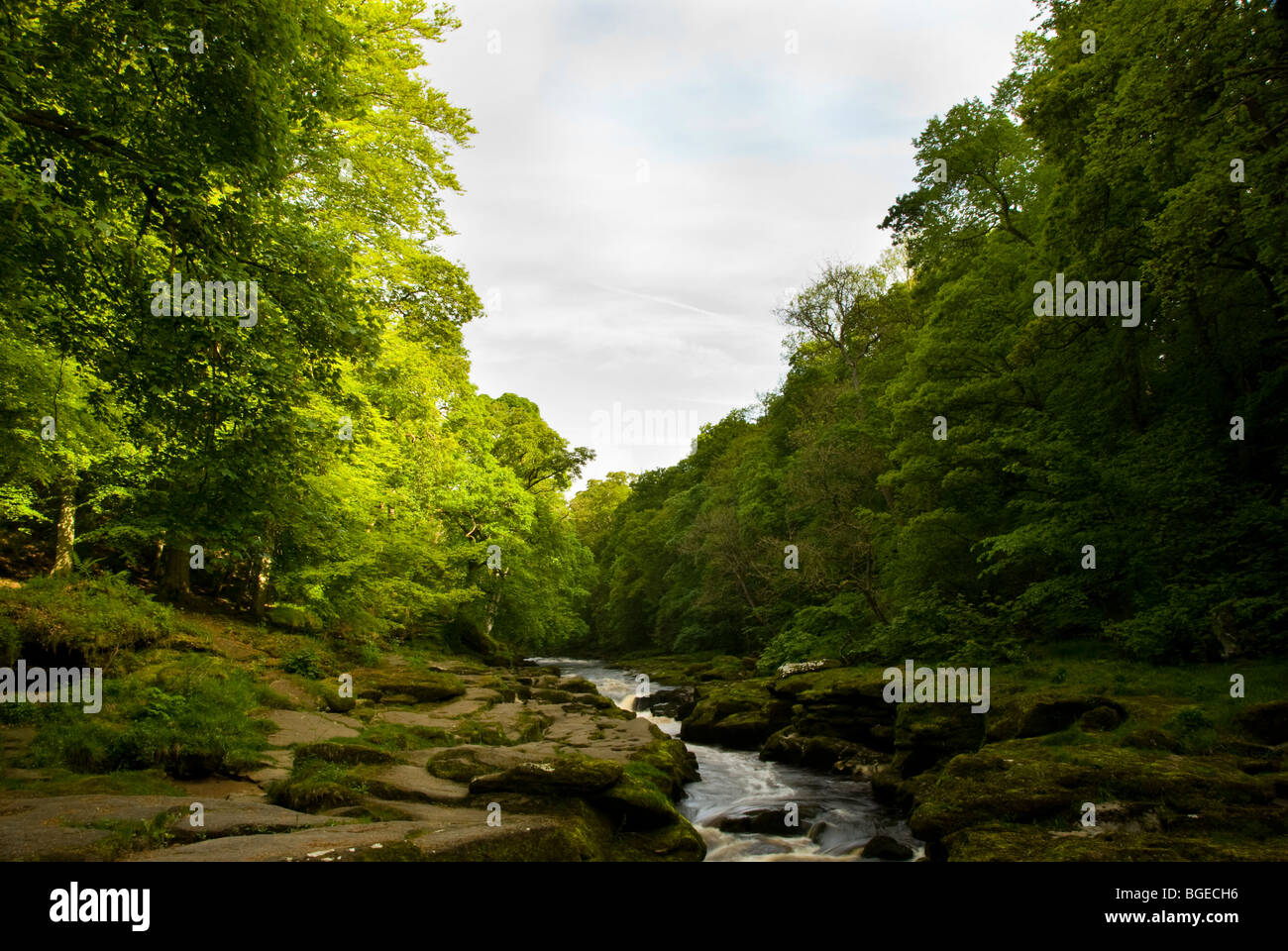 Rocks at The Strid on the River Wharfe along the Dales Way Long Distance Path Stock Photo