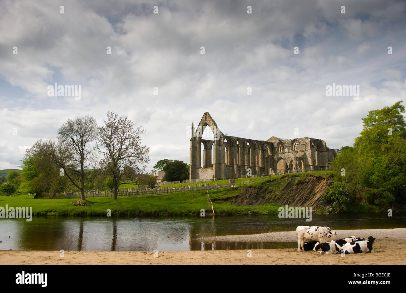 The remains of Bolton Abbey seen from across the River Wharfe Stock Photo