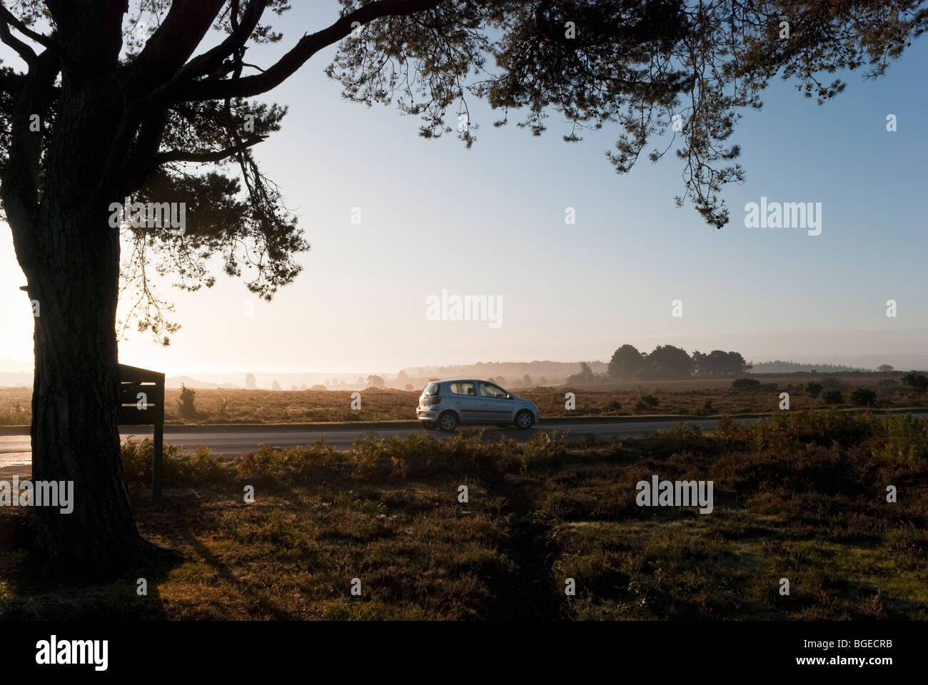 New forest brockenhurst village hi-res stock photography and images - Alamy