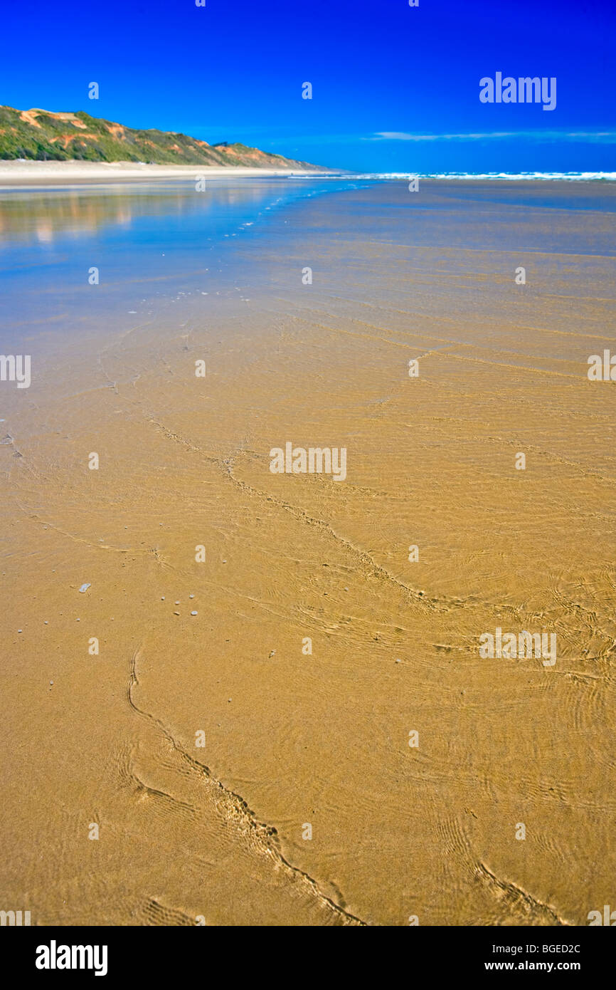 Ripiro Beach at Glinks Gully Seaside Resort, Kaipara, West Coast, Northland, North Island, New Zealand. Stock Photo