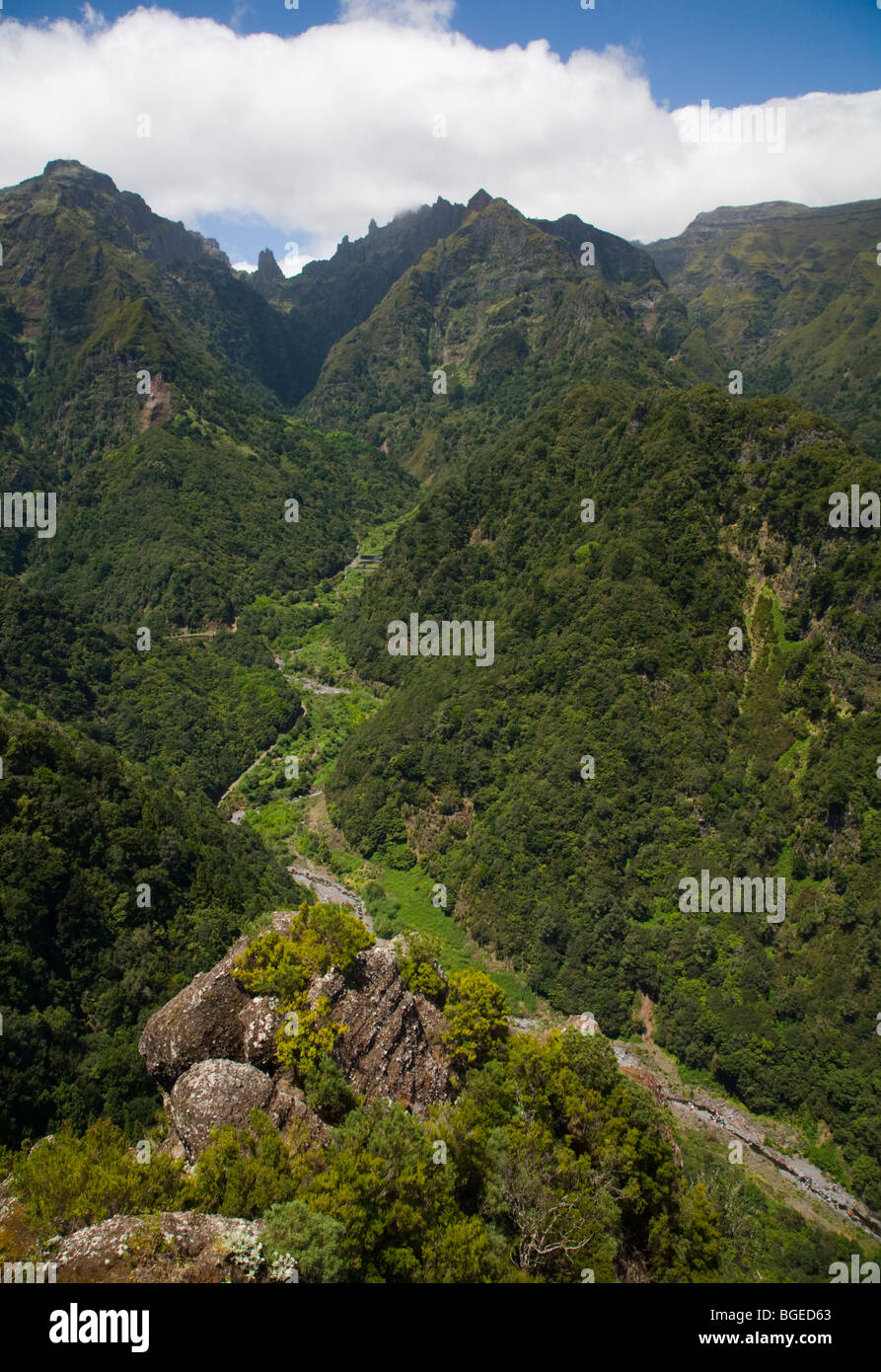 The rainforest of Madeira viewed from Ribeiro Frio with Eagle Rock on the horizon Stock Photo