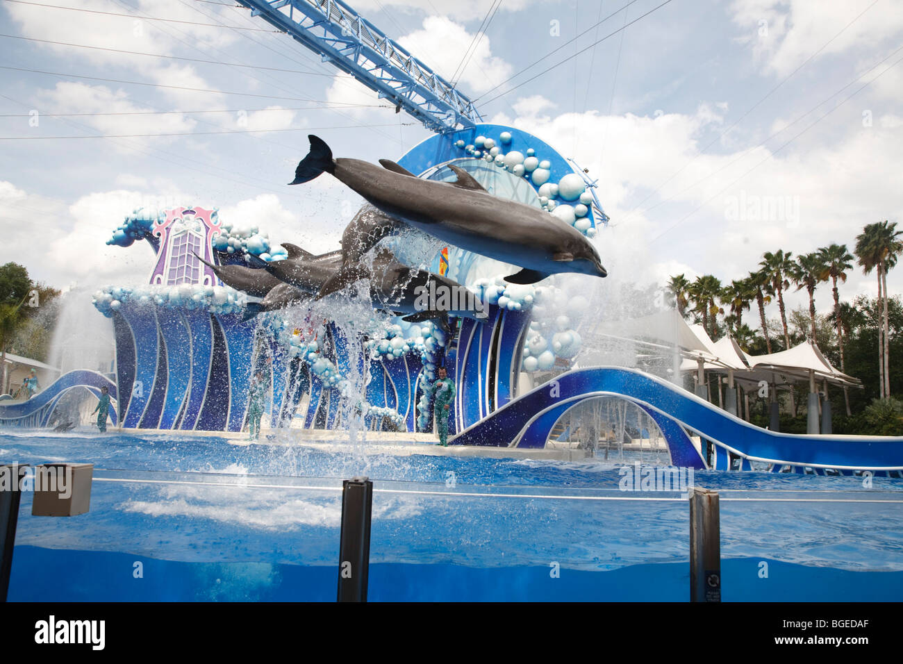 Bottlenose dolphins perform in the Blue horizons show at Seaworld, Orlando, Florida Stock Photo