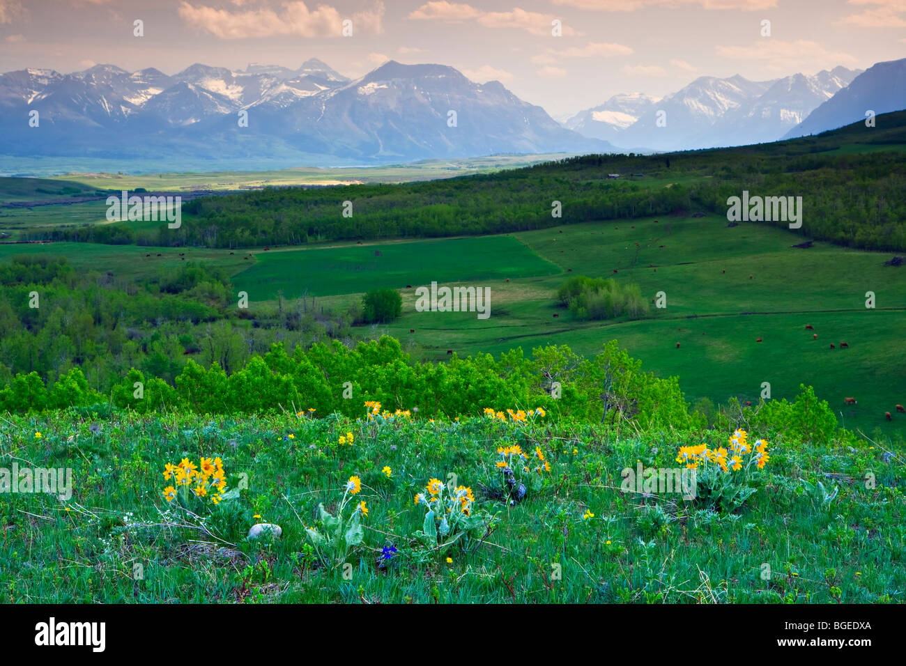 "Where the Mountains meet the Prairies", view of Waterton Lakes