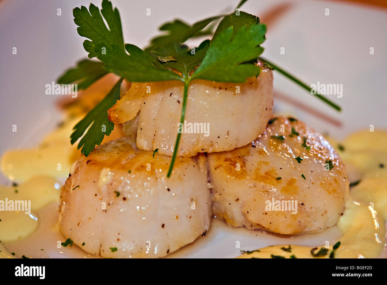 Seared Scallops with Hollandaise sauce, Tuckamore Lodge, Main Brook, Viking Trail, Trails to the