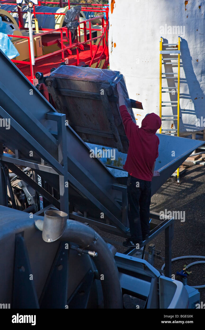 Freshly harvested grapes being loaded into the press at Summerhill Pyramid Winery, a certified organic vineyard, Kelowna, Okanag Stock Photo