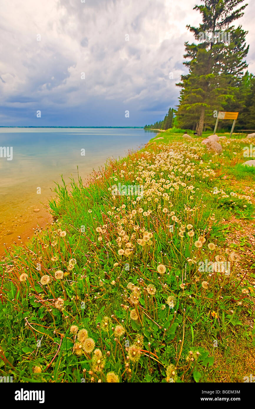 Shoreline of Clear Lake in Riding Mountain National Park, Manitoba