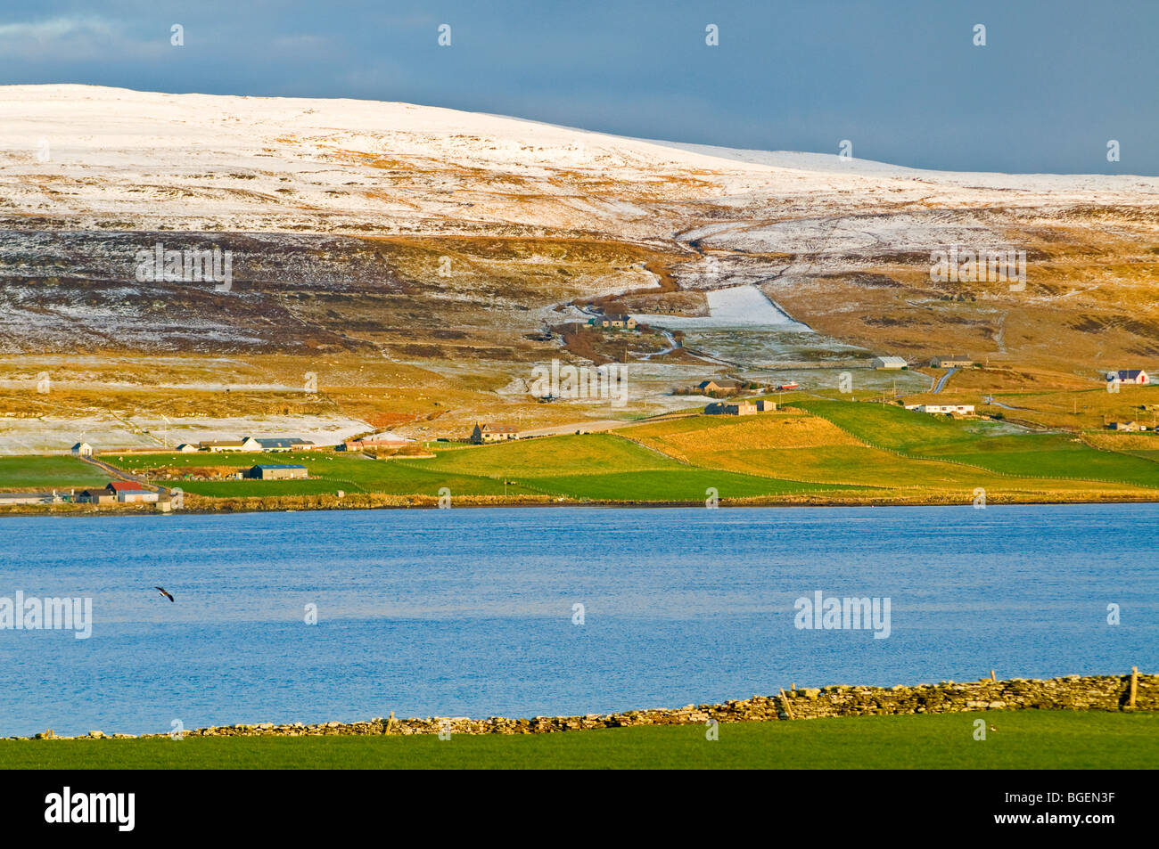 Rousay ferry hi-res stock photography and images - Alamy