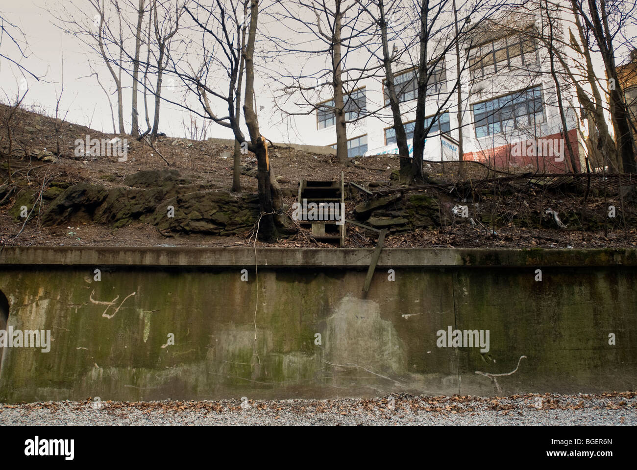 Abandoned railroad overgrown weeds hi-res stock photography and images ...