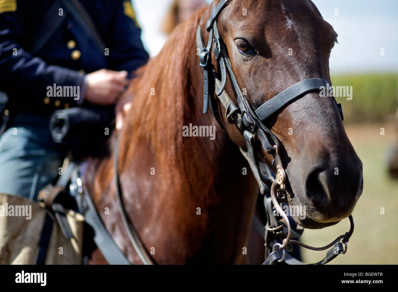 Dressing in 1800's period outfits during the Morgan Horse-Powered Field day at at a Deerfield Wisconsin Farm. Stock Photo