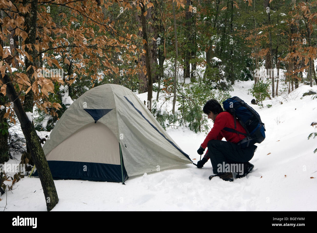 Setting up tent in the snow - Brevard, North Carolina USA Stock Photo