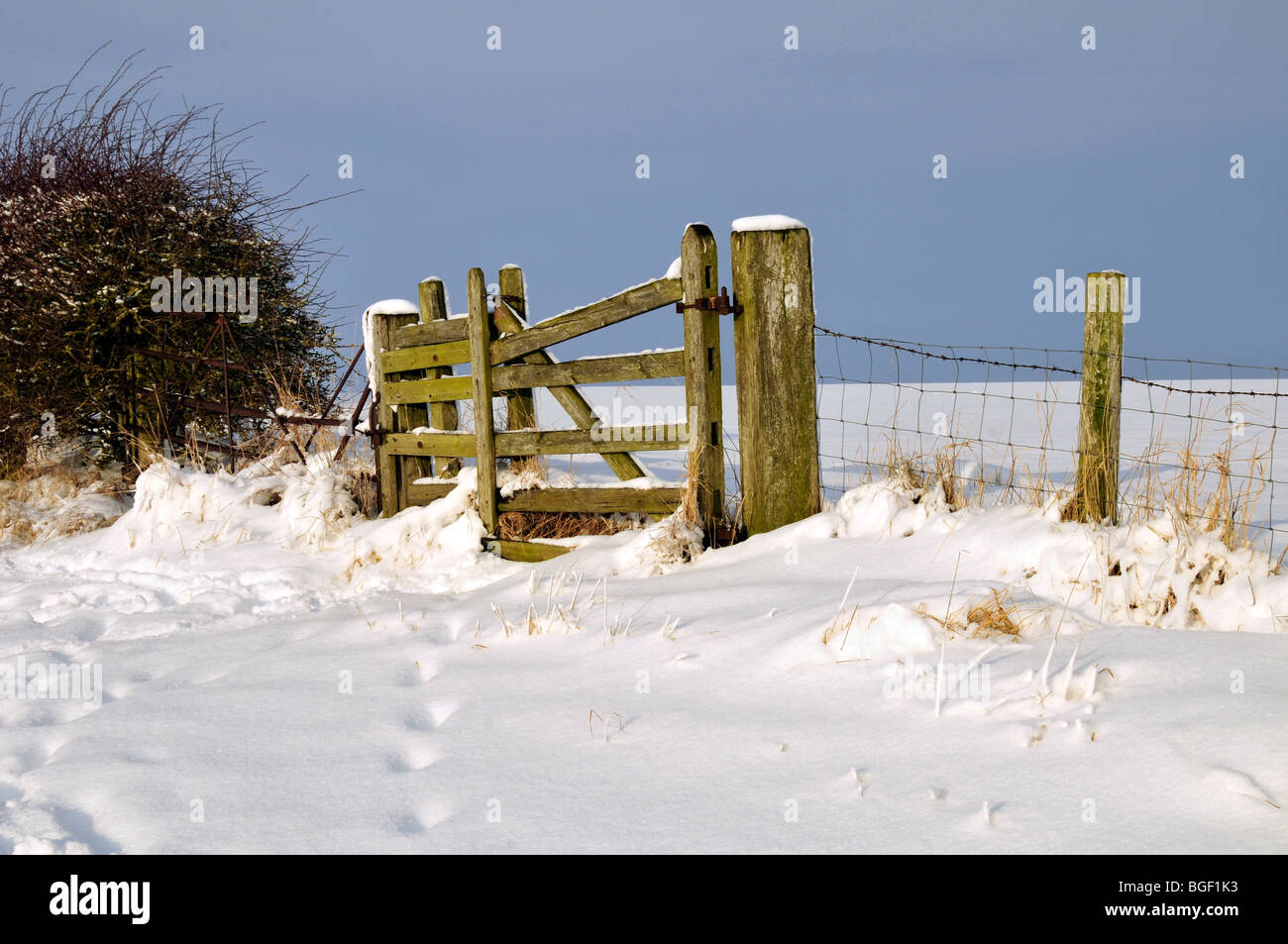 fence field snow northumberland county countryside weather Stock Photo