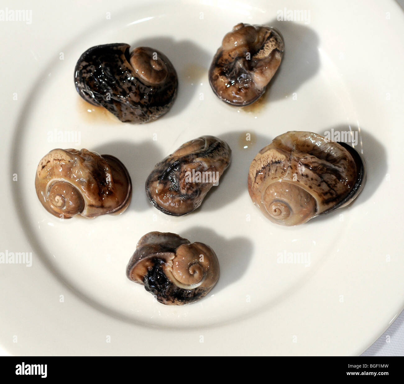 Cooked snails Stock Photo