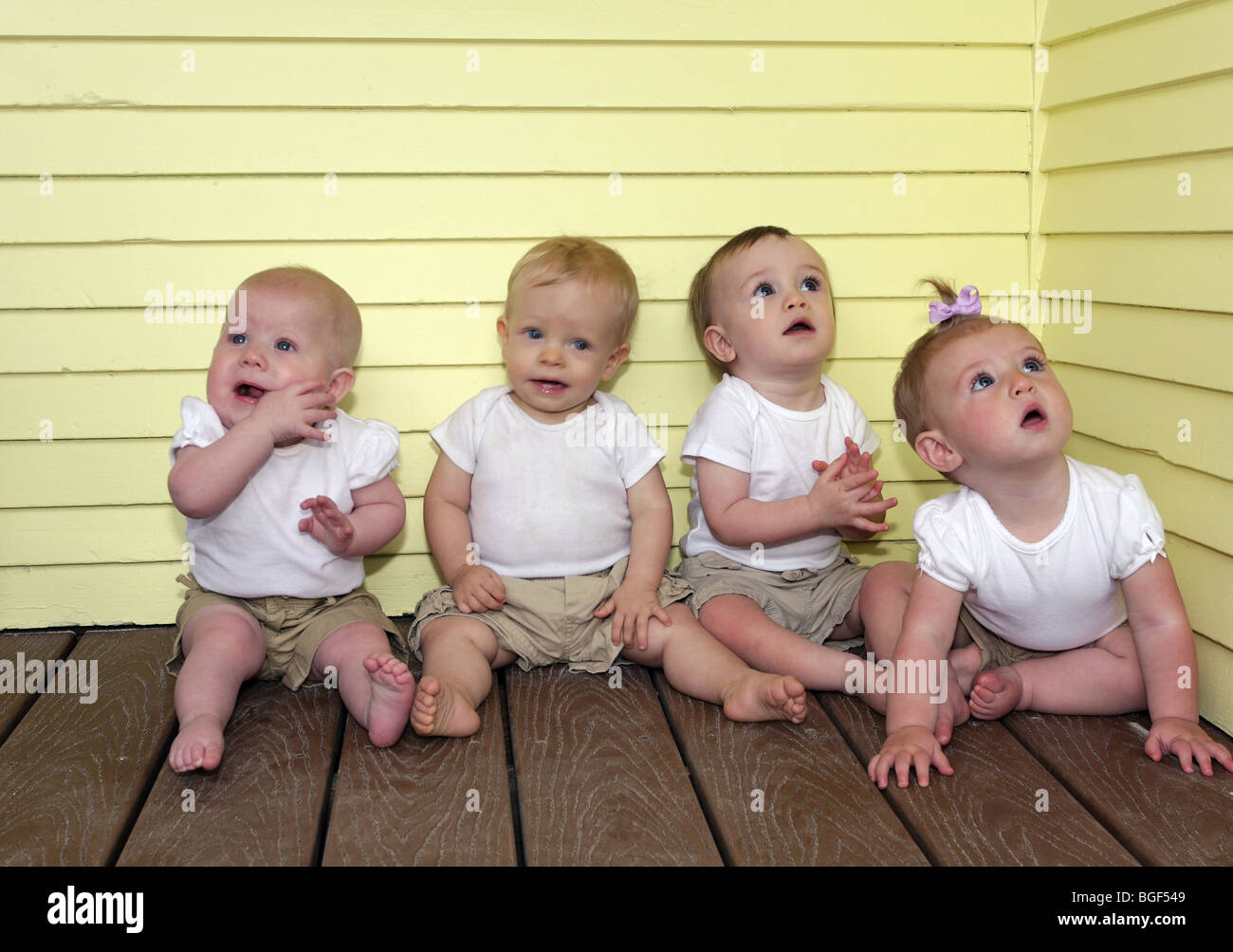 Four babies lined up for portrait Stock Photo Alamy