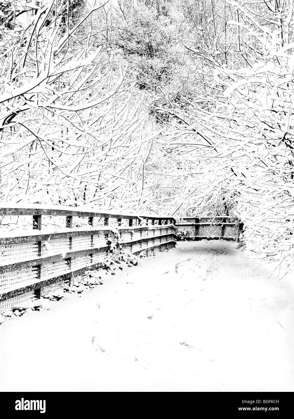 A pathway and cycle route in the snow in black and white Stock Photo