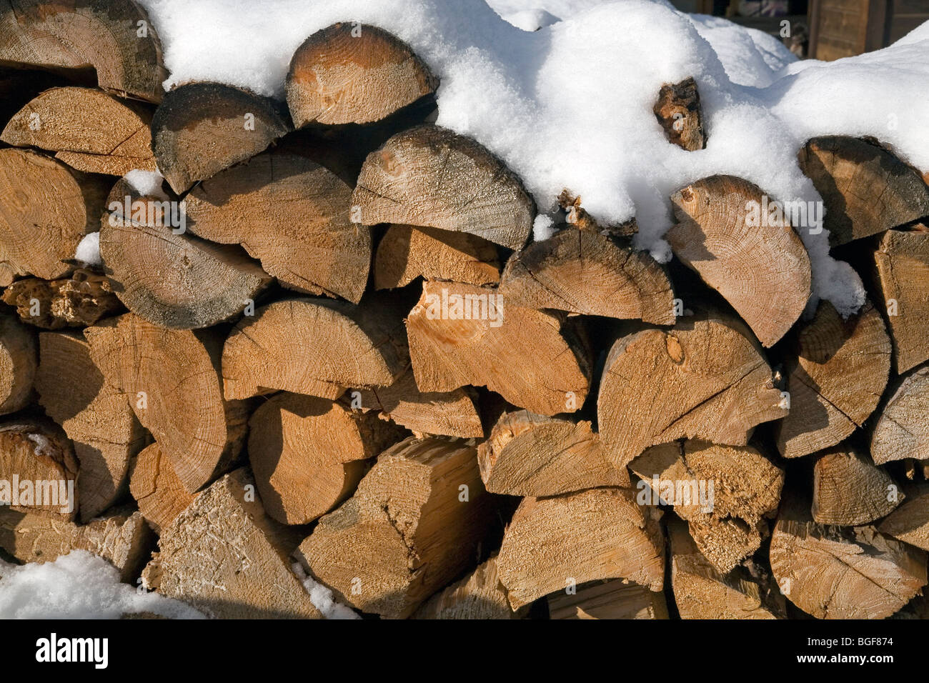 A stack or cord of split pine firewood, also called cordwood Stock