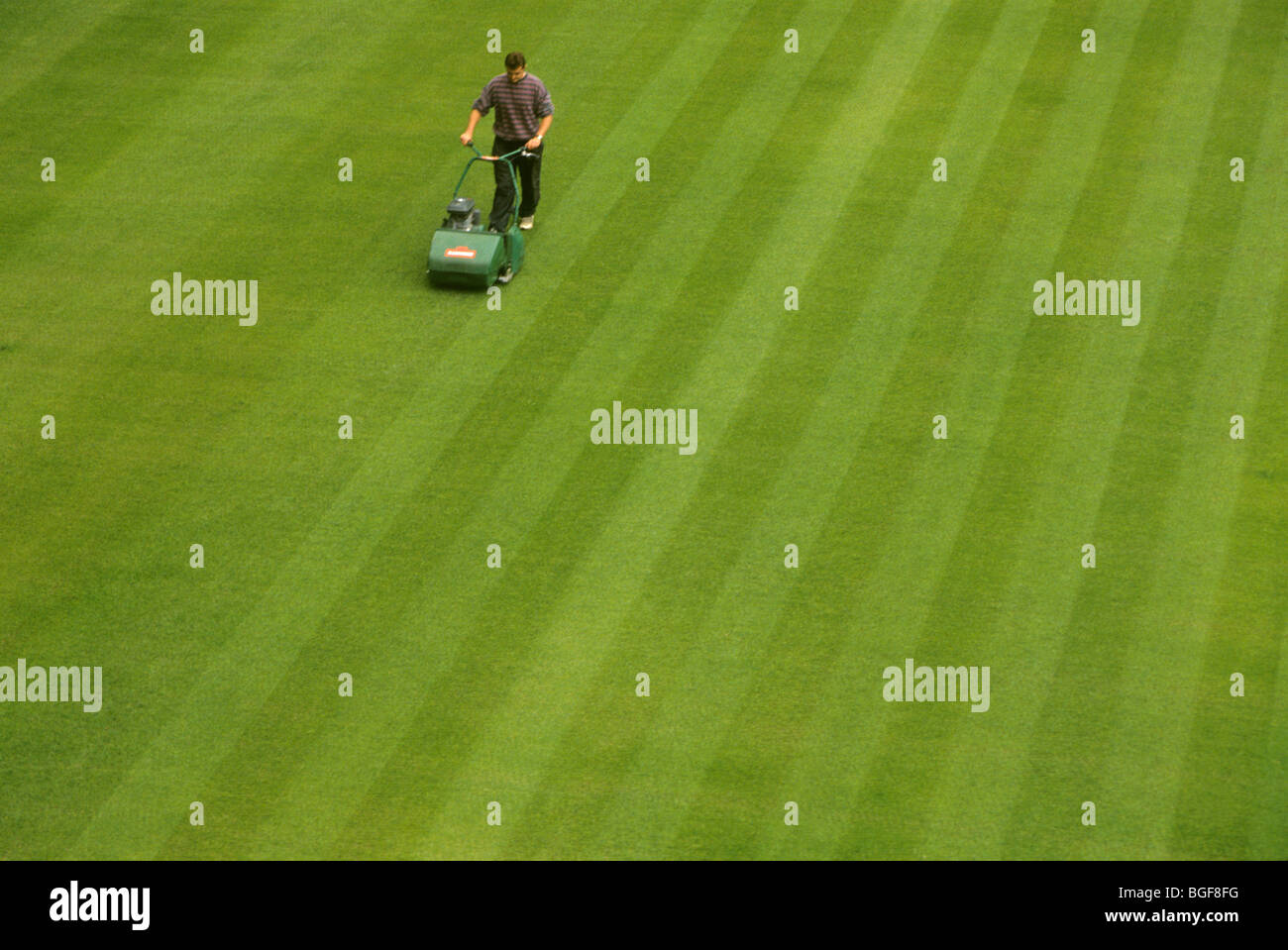 Groundsman / man / gardener mowing the perfect lawn. UK Stock Photo Alamy