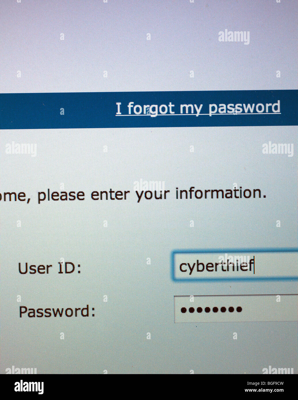 computer screen showing logon page with user id of cyberthief Stock Photo