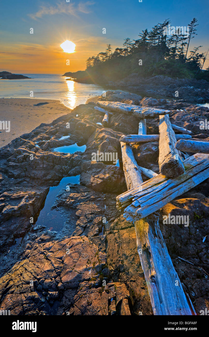 Driftwood strewn over a rocky outcrop along South Beach at sunset, Pacific Rim National Park, Long Beach Unit, Clayoquot Sound U Stock Photo