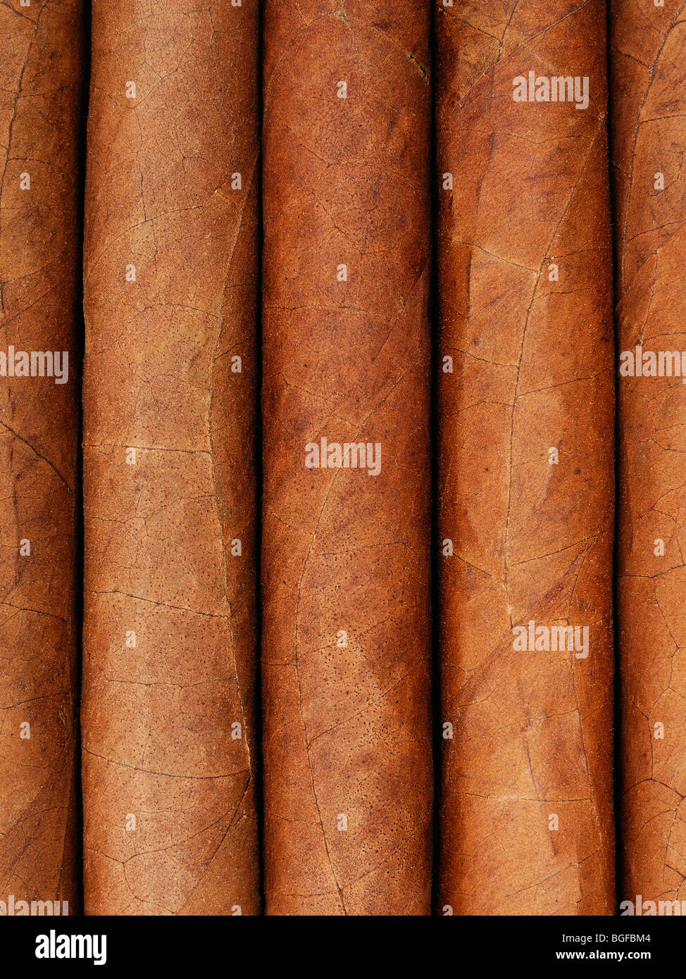 Cigars, Close Up. Stock Photo