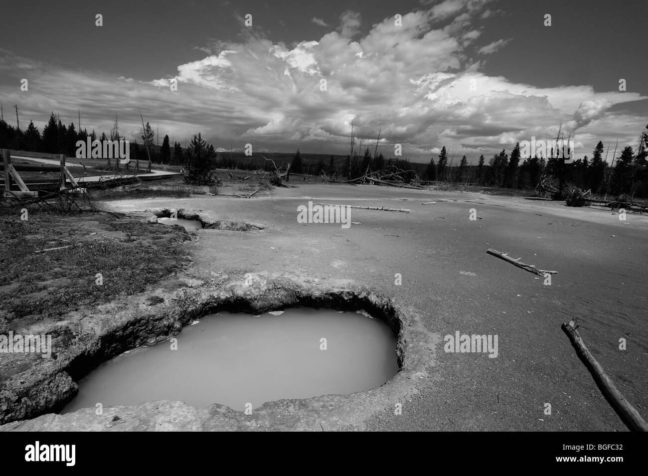 hot ladies in tight jeans