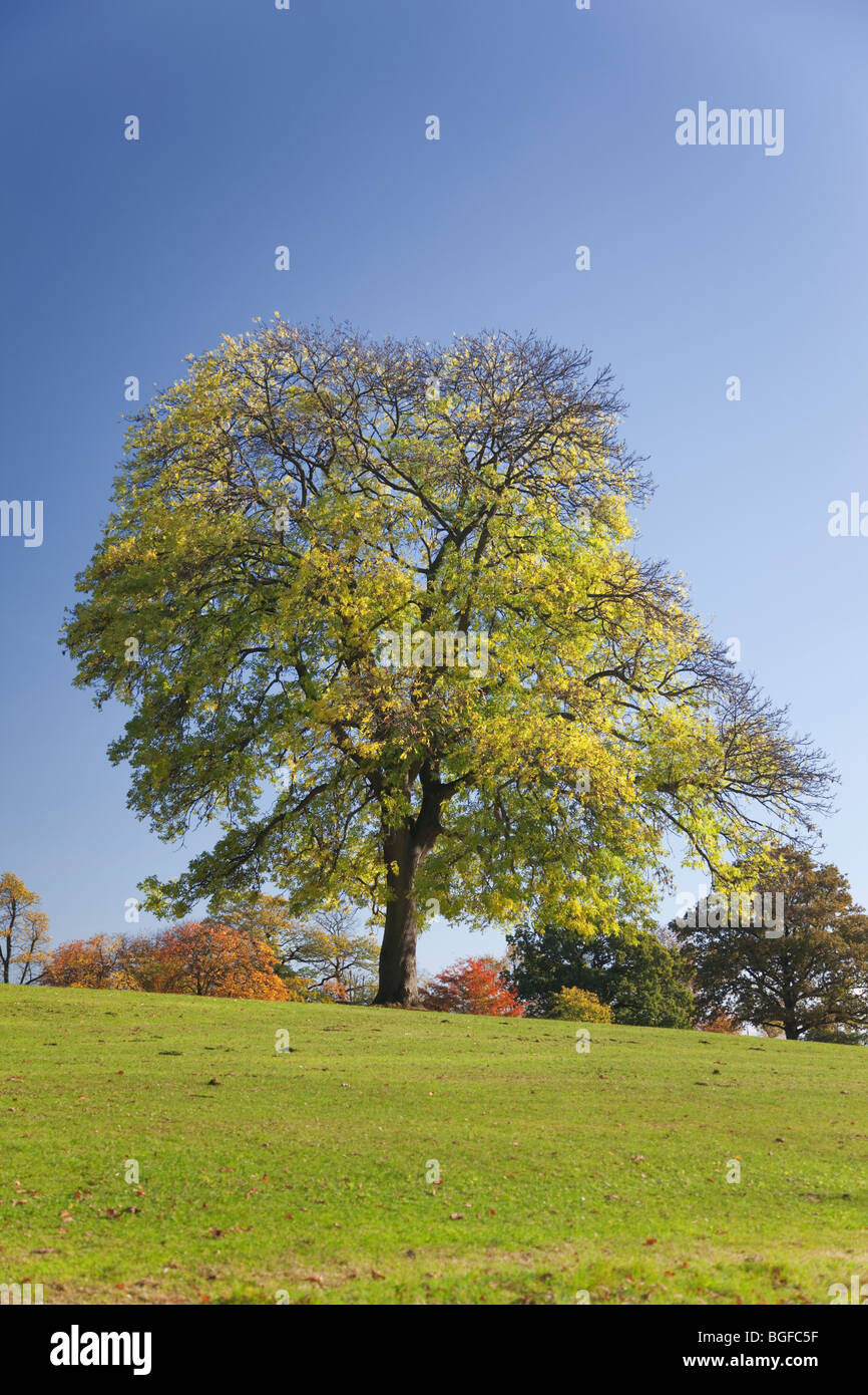 Blue green red colour colors hi-res stock photography and images - Alamy