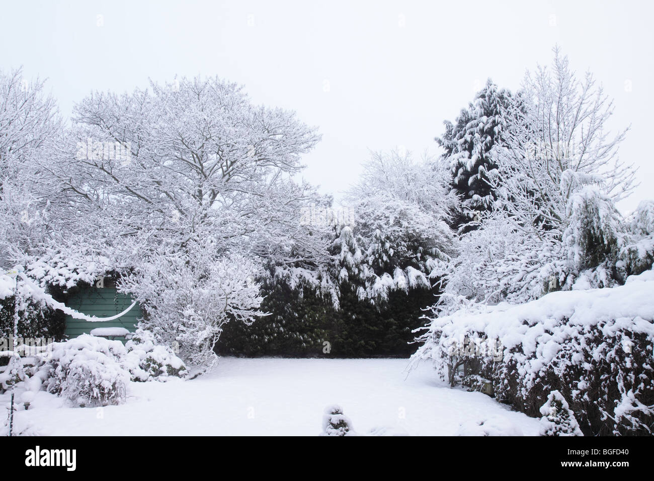 Snow covered suburban back garden in the UK Stock Photo