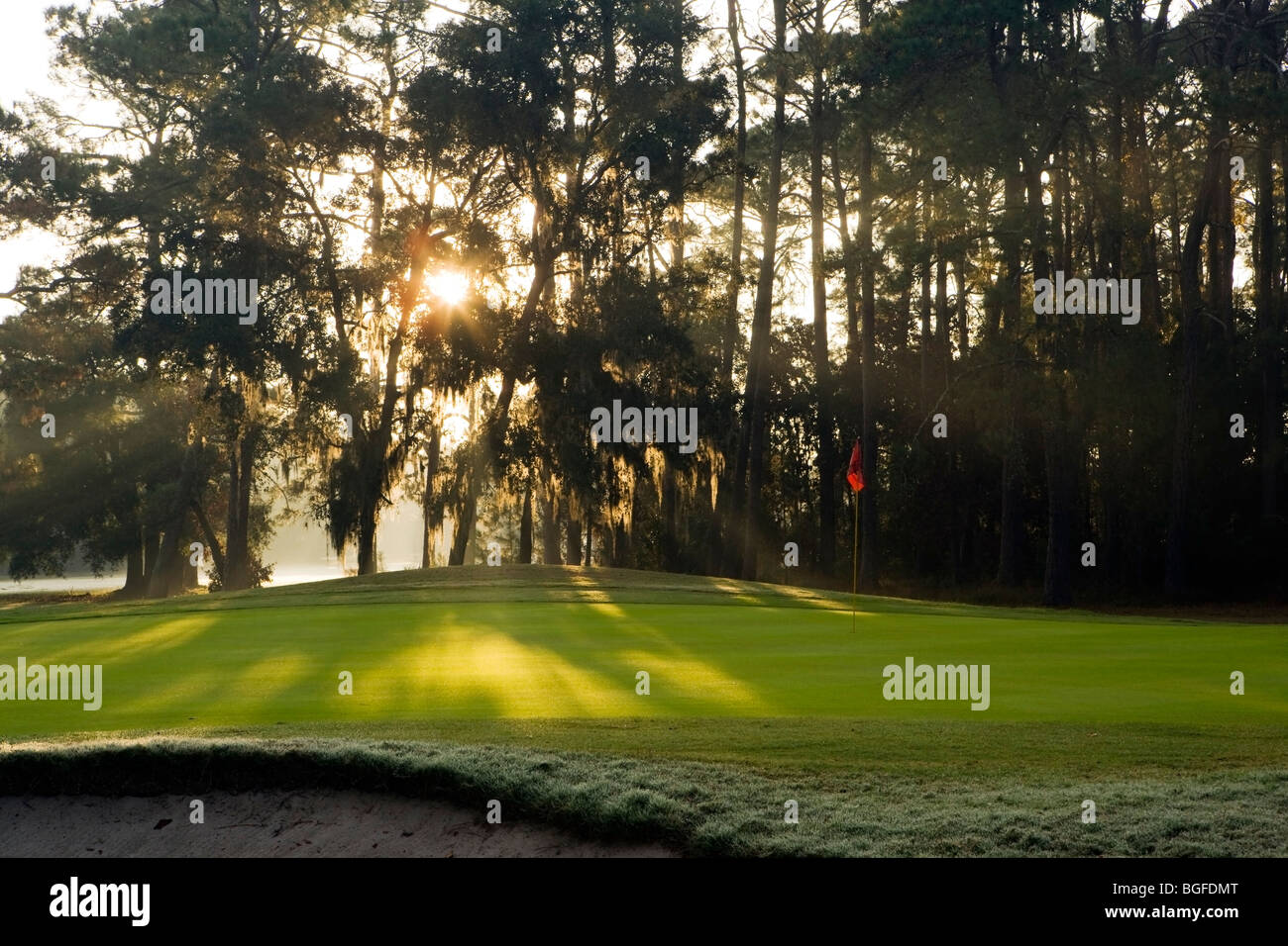 Golf course Jekyll Island, USA Stock Photo Alamy