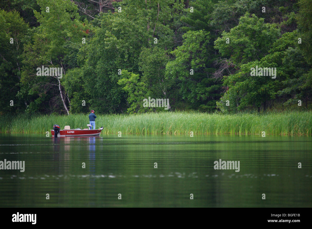 Grassy Shoreline Background