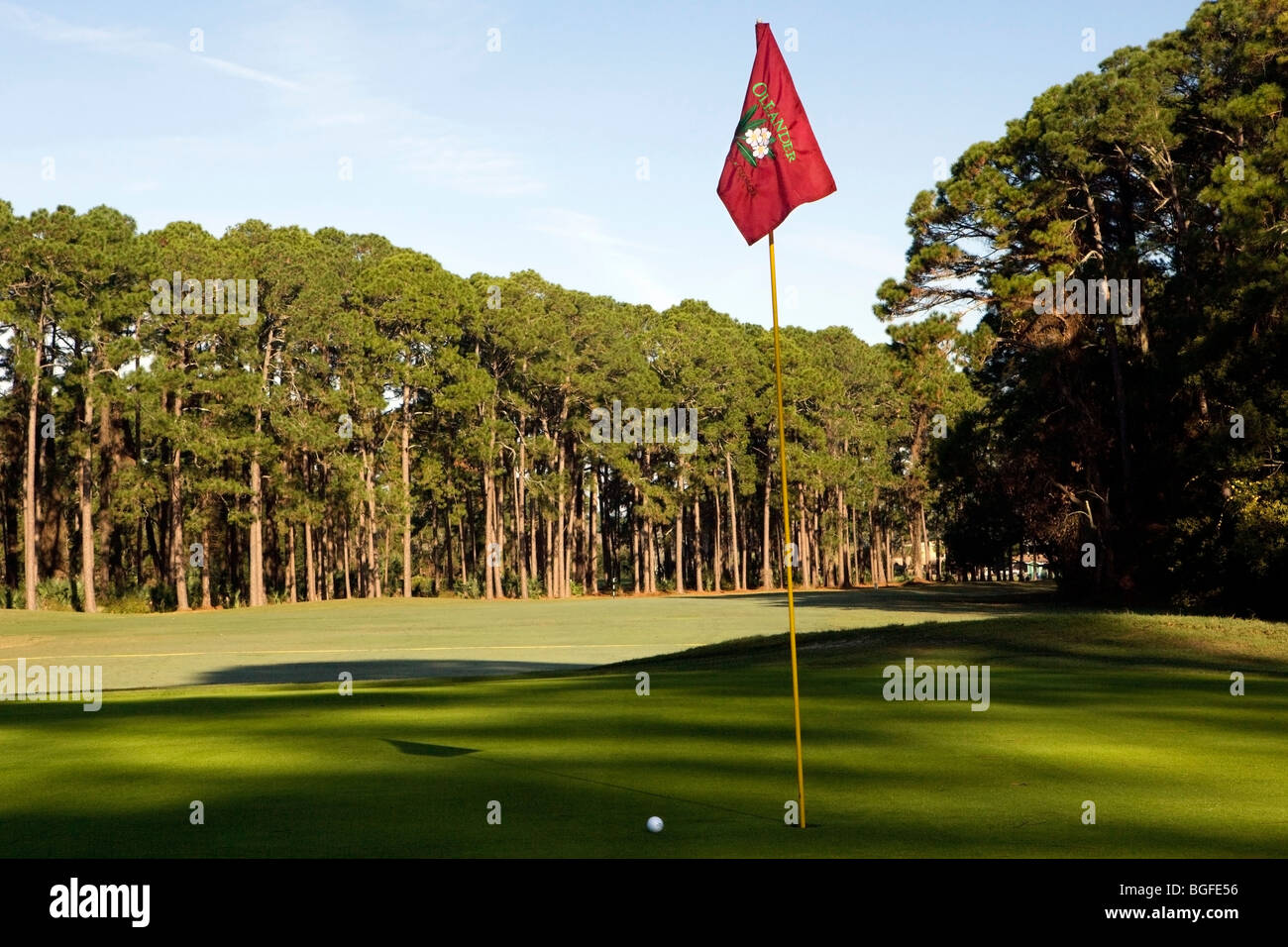 Golf course Jekyll Island, USA Stock Photo Alamy